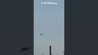 Freewing A-10 Warthog Twin 80mm EDF #motionrc #freewing #aviation #rchobby #rcpilot #hobby #rcplane