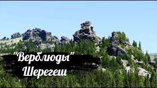 Скалы-останцы Верблюды / Шерегеш