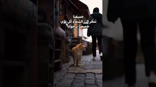 كلنا نرجو الله كل صباح #تيك_توك #دعاء #اكسبلور #لايك #اسلاميات #تصويري #حالاتواتس #birds #cat #شورت