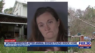 Woman arrested after dead animals found inside Clay County home | Action News Jax