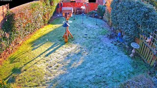 Wide View of Garden in Sheffield, England. Bird, Ground & Table Feeders, Bird Bath & Squirrel Feeder