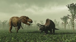 Tiranosaurio rex vs Triceratops