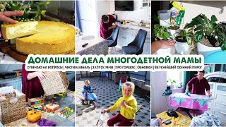 Домашние дела🏡Меня невозможно слушать🤯Прогресс в речи◾️Обновки для Сени◾️Творожно-яблочный пирог