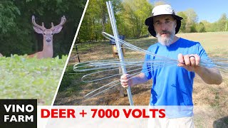 My Ongoing Battle With Deer  (Two Layer Electric Fence!)