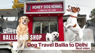 Ballia Dog Shop | Honey Dog Kennel | Near Hospital Road Ballia