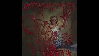 Cannibal Corpse- In The Midst Of Ruin(Instrumental)