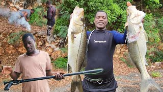 my first catch with my new ermes spear gun accurate catch, fire roasted ripe plantain fish