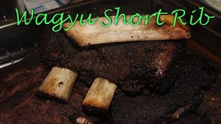 Wagyu Short Rib Y-BBQ