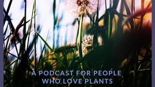 EP22: Foraging The Future, Sustainability & Vital Connection // Miles Irving