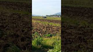 Preparando il terreno per il mais.#lavoro #trattore #agriculture #mais