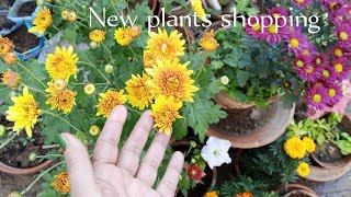 New plants shopping/With Rates