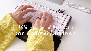 unboxing 75% mechanical keyboard for productivity and gaming on iPad, Mac, Windows | ft. Vissles V84