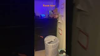 Room tour