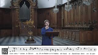 Chant grégorien — Introit "Gaudeamus Omnes" — École grégorienne