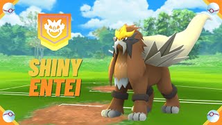 A Wild ✨ Shiny Entei ✨ Appeared! [Pokemon GO Tour: Johto] #shorts