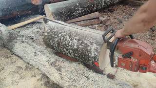 cutting logs with my chainsaw for making wooden utensils