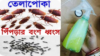 ঘরে একটাও তেলাপোকা পিঁপড়া টিকটিকি মশা মাছি পোকা মাকড় থাকবেনা এই লিকুইড টা ঘরেই তৈরি করো