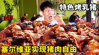 锋哥品尝塞尔维亚烤乳猪，20元一斤，实现猪肉自由，这也太爽了吧【藏锋Kevin】