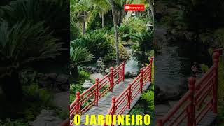 Poema "O Jardineiro 41" [Rabindranath Tagore] #shorts