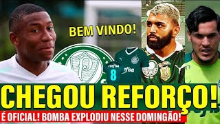 Bomba Explodiu nesse Domingão!! Reforço Urgente no Palmeiras Anima!! Gabigol anuncia...