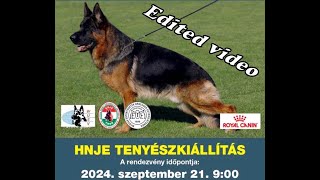 2024.09.21. HNJE Tenyészkiállítás Szakács Attila emlékére Debrecen