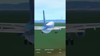 ANA emergency landing