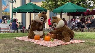 Chip 'n' Dale Picnic in Disney's Hollywood Studios Walt Disney World