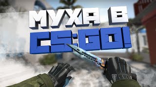 МУХА В КС ГО! МИССИЯ из ОБНОВЛЕНИЯ CS GO