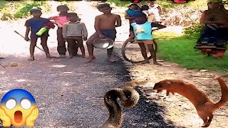 नेवला और सर्प की हो गई😱फिर कैसे क्या हुआ!!#Snakerescuevideoindian#snakerescueteam#sarpmitrabablu