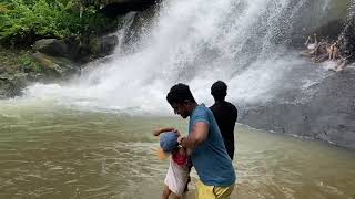 എറണാകുളത്തെ Waterfallsന് ഇത്ര ഭംഗി ഉണ്ടായിരുന്നോ | Areekkal Waterfalls -Pampakuda [Cochin, Kerala]