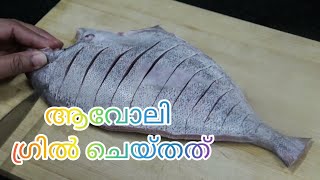 Food & Drinks E27 || Black Pomfret Fish Grilled || കറുത്ത ആവോലി ഗ്രിൽ ചെയ്തത് ||