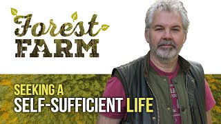 Living A Self Sufficient Life in Canada // Building a Self Reliant Forest Farm