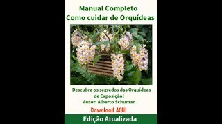 Como cuidar de orquideas de floricultura