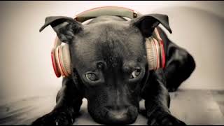 Deep Separation Anxiety Music for Dog Relaxation! Soothe Your Dog