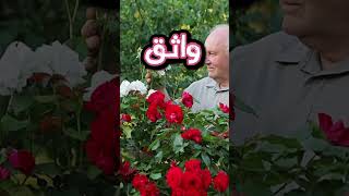 قصة قصيرة و جميلة #history #قصة_حقيقية #قصة #shorts #اكسبلور #لايك #واشتراك #subscribe