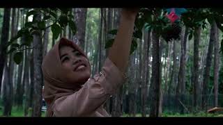 Hutan Pinus Samparona + Sony A6300+ 16-50