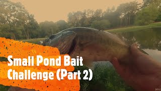 Pond Bait Challenge! (Part 2) #bassfishing   #pondfishing