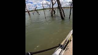 Rio São Marcos #shorts #MG #go #tucunaré #Kelberi #Fishing #caiaque