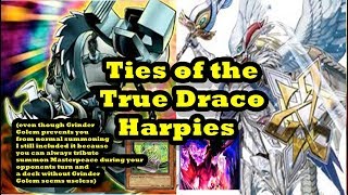 Ties of the True Draco Harpies