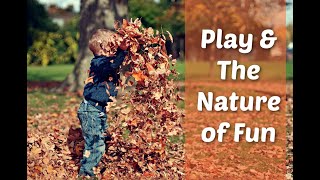 Play & the Nature of Fun