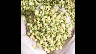 jasmine tea茉莉