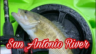 Kayaking and Fishing the San Antonio River for Guadalupe Bass