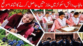 Punjab Daanish School Jobs 2023-24| Teaching Staff jobs [All Punjab] (100+ Seats)