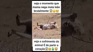 Veja o momento que mama nega mata leão brutalmente