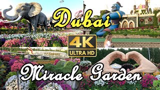 Miracle Garden [4K] | World Largest Natural Flower Garden | Dubai🇦🇪