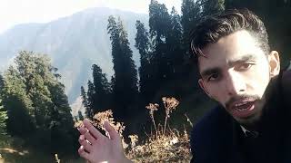 Nathia Gali! mukshpuri ki top ! Tayyab Shinwari! Beautiful Views of Nathia Gali | Mukshpuri Top