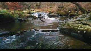 DJI @ U.K Aira Force Waterfall