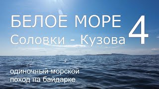 Белое море. Соловки и Кузова. Часть 4. Острова Большой Заяцкий и Олёшин