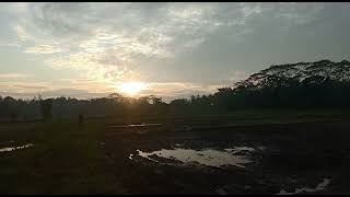 relaxing videos, nature sound relax your mind. travel Sri Lankan, village life in Sri Lanka,#shorts