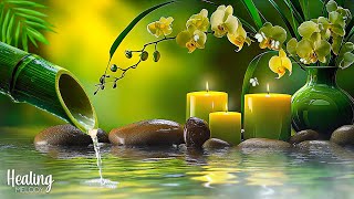 Relaxing Piano Music + Insomnia and Healing 🌿 Relaxing Music, Sleep Music, Meditation, Nature Sound